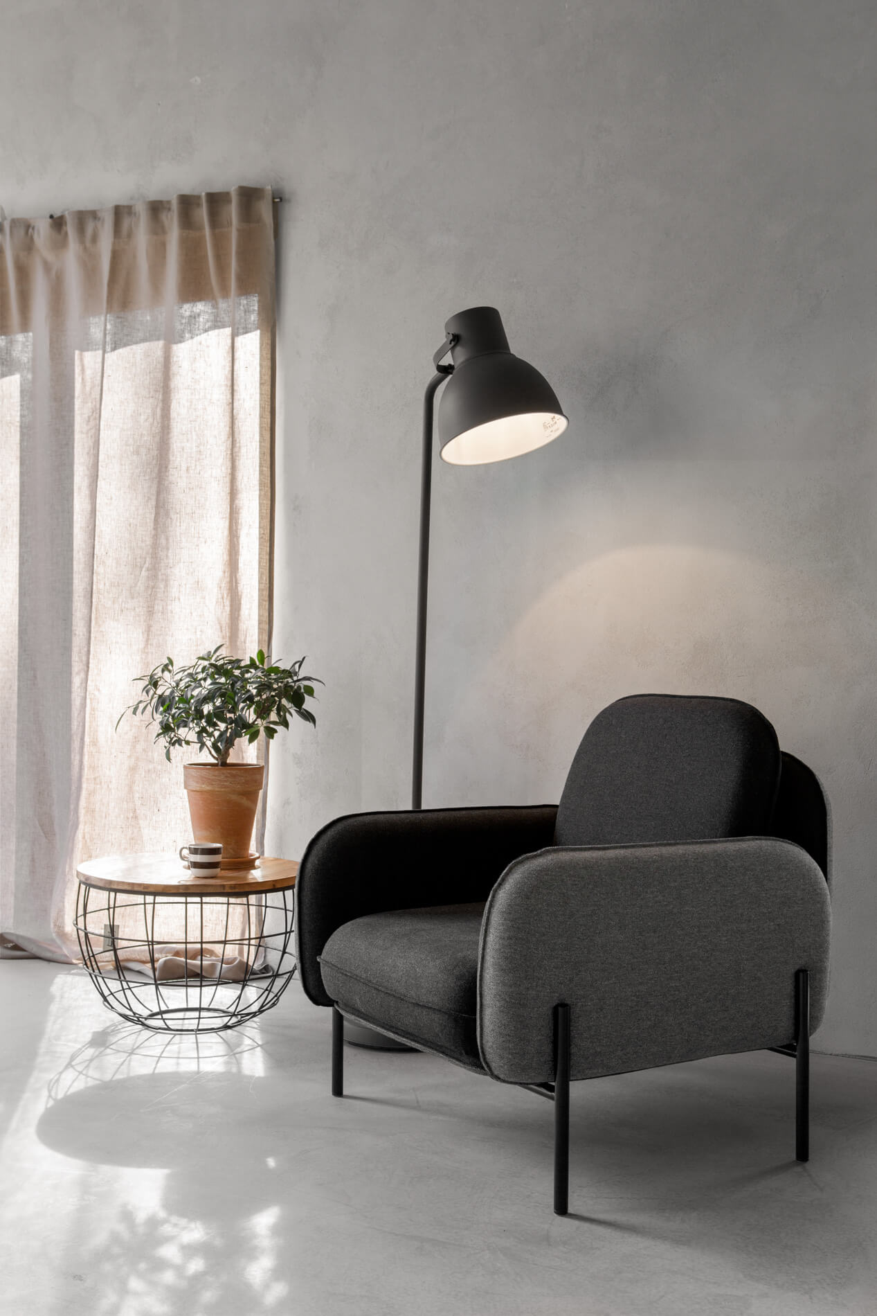 sofy corbu
