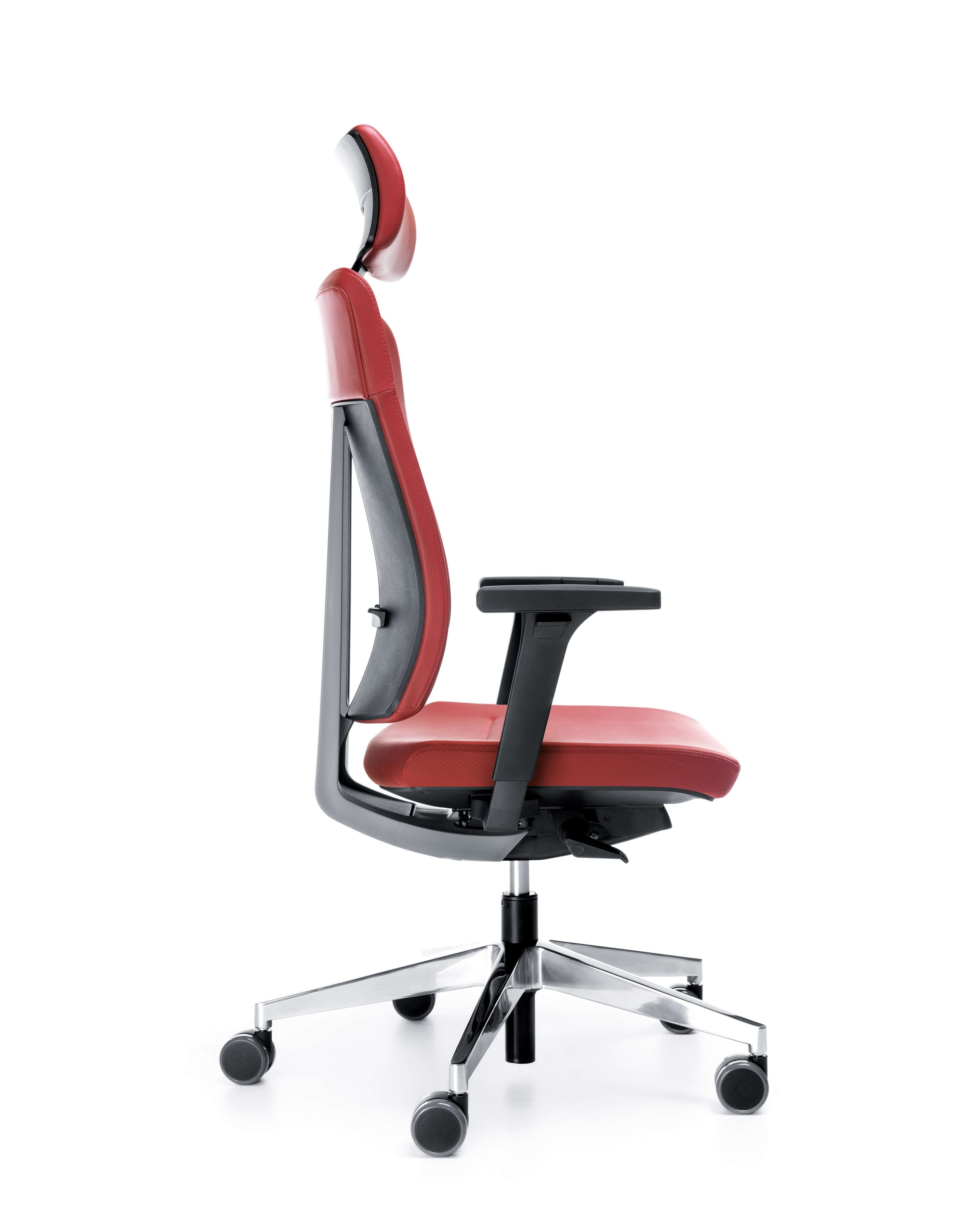 fotele xenon