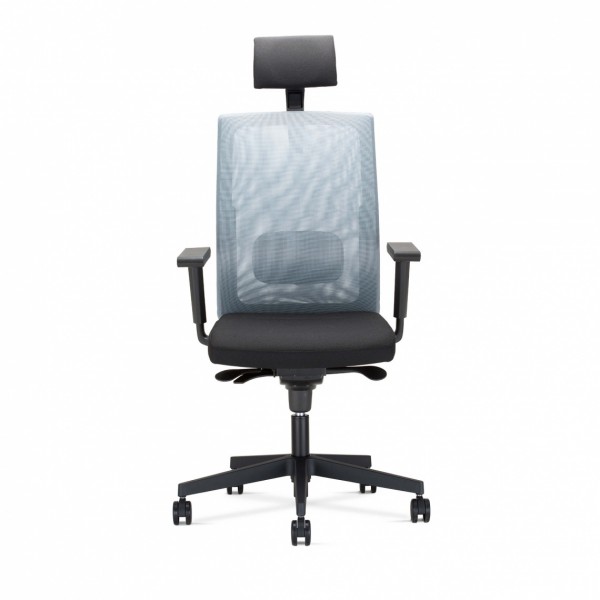 Fotel gabinetowy SIT.NET