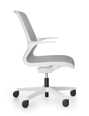 krzesła ovidio white