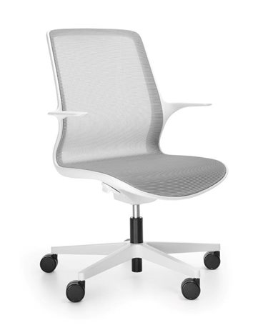 krzesła ovidio white