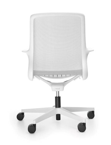 krzesła ovidio white