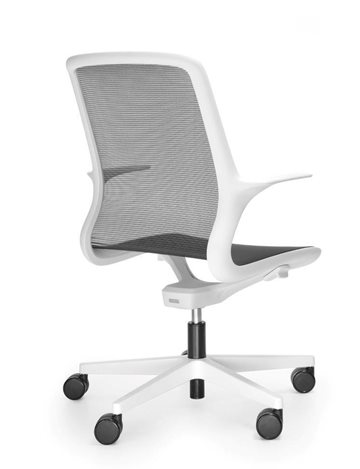 krzesła ovidio white