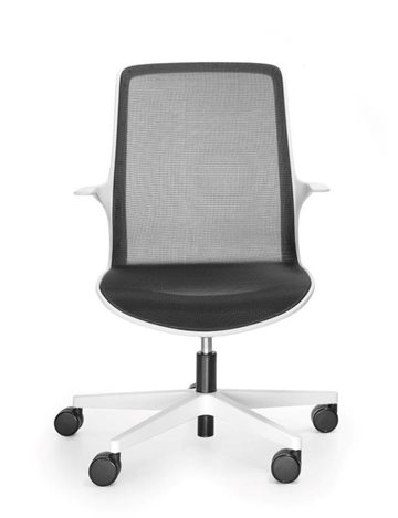 krzesła ovidio white